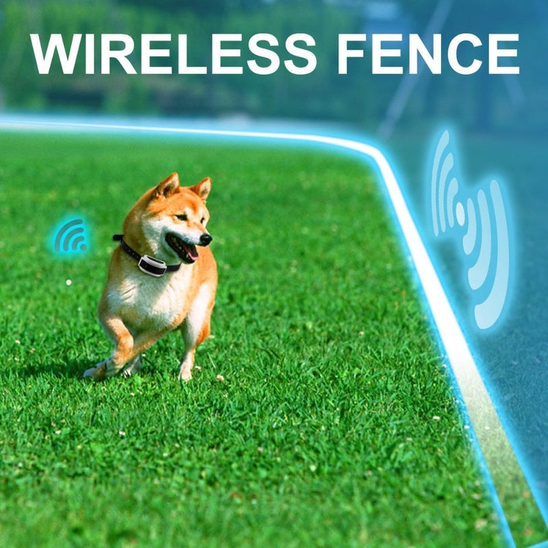 Wireless Remote Dog Fence System
