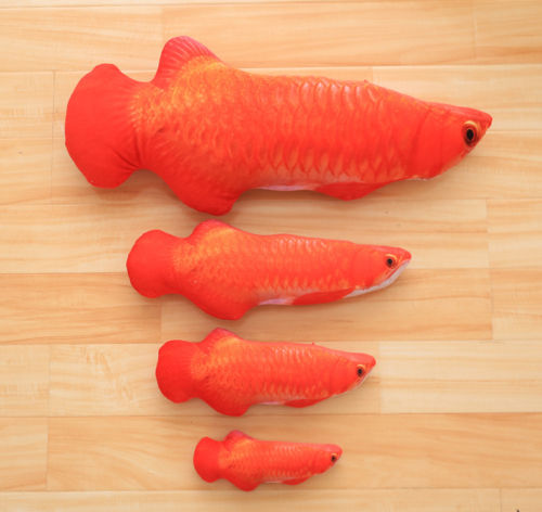 Fish Shape Pet Cat Kitten Teaser