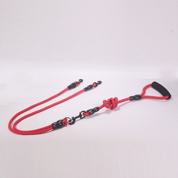 Two And More Dogs Leash